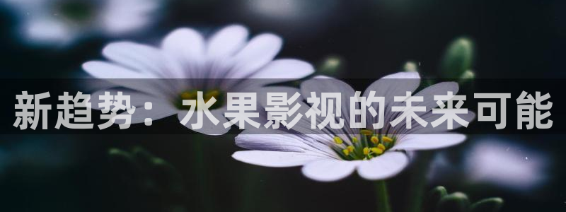 欧美电影好似天堂