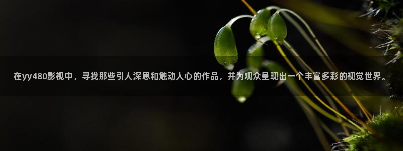 飘花影院新视觉影院特片网天堂影院