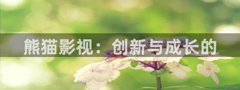 天堂av理论电影